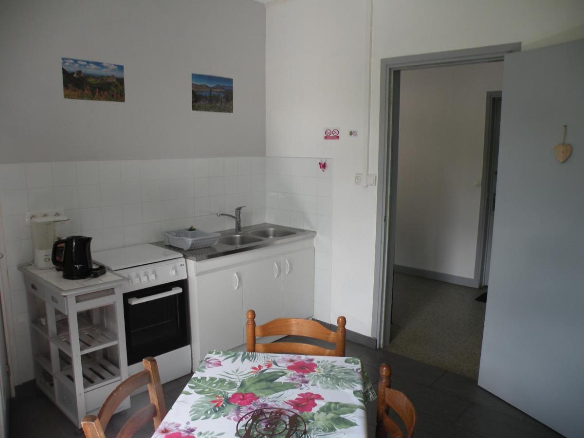 Rose, 4 Pers. Saint Antoine, Orcival, Sancy Appartement